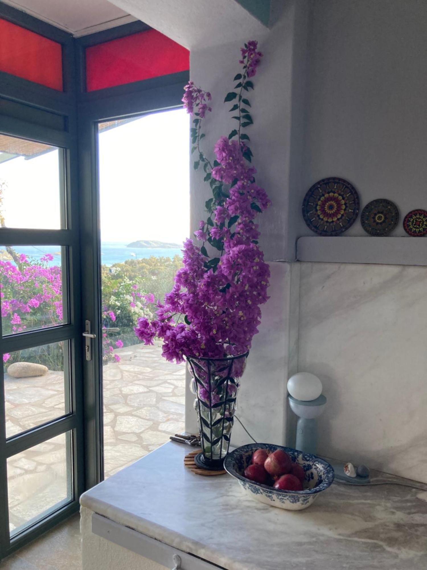 Villa Tierra à Skiathos Chora Extérieur photo