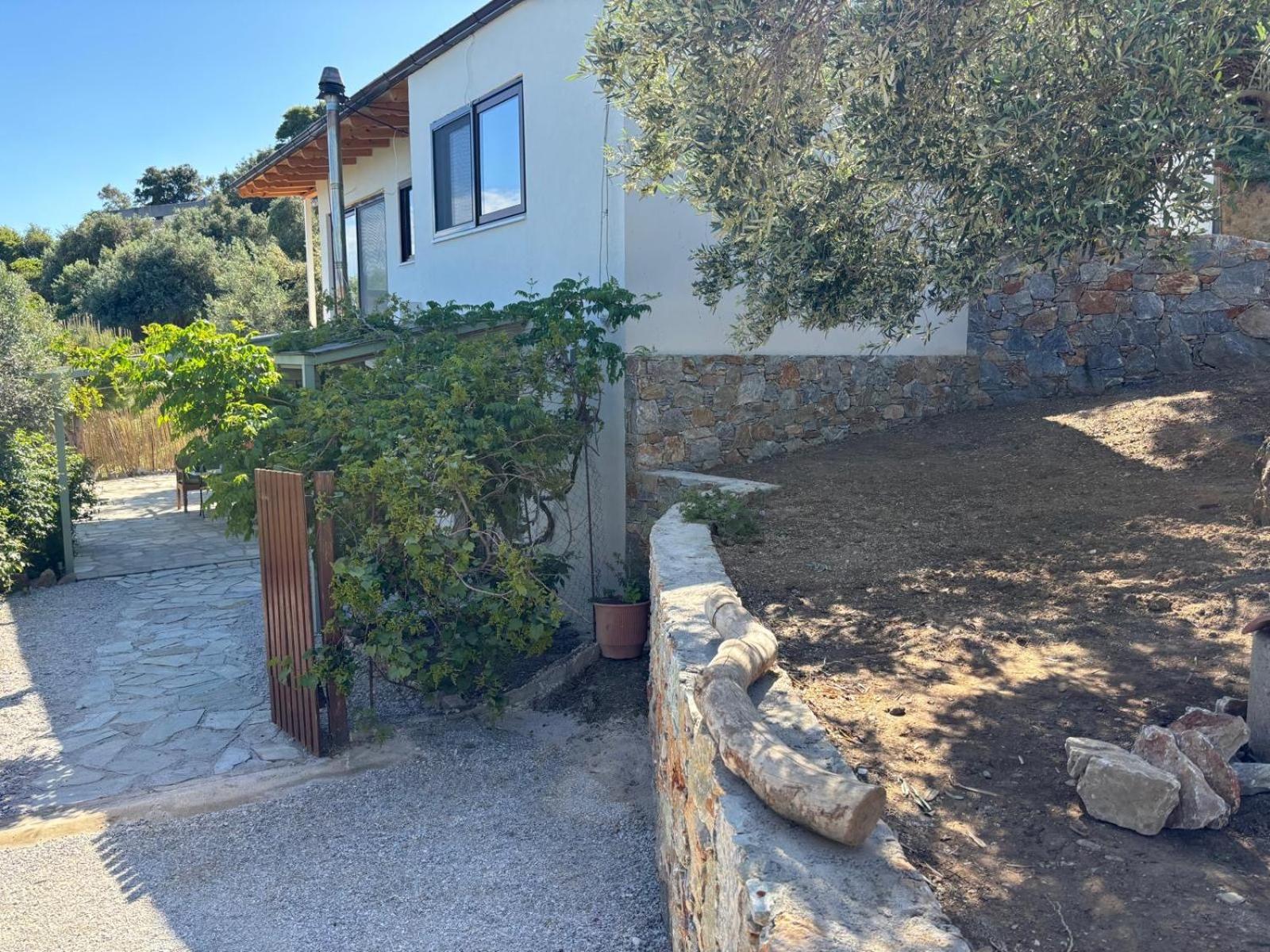 Villa Tierra à Skiathos Chora Extérieur photo