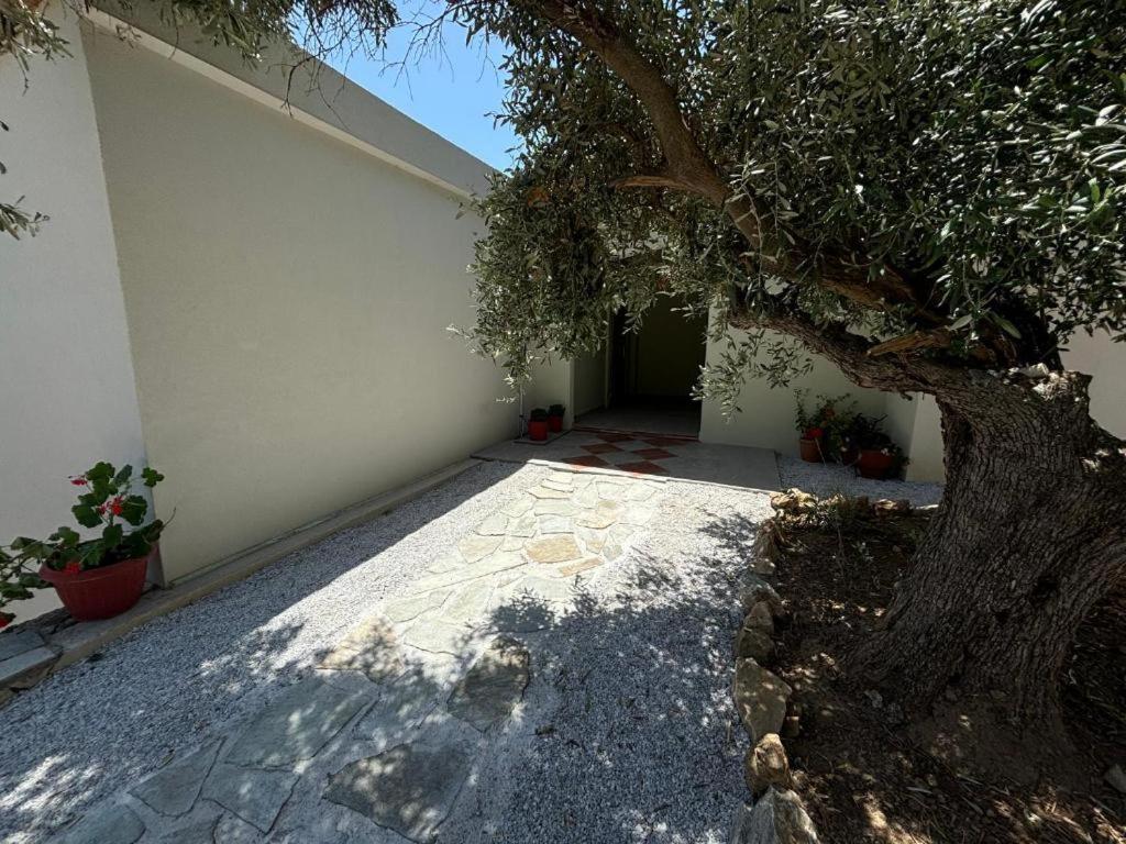 Villa Tierra à Skiathos Chora Extérieur photo