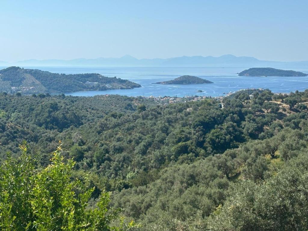 Villa Tierra à Skiathos Chora Extérieur photo
